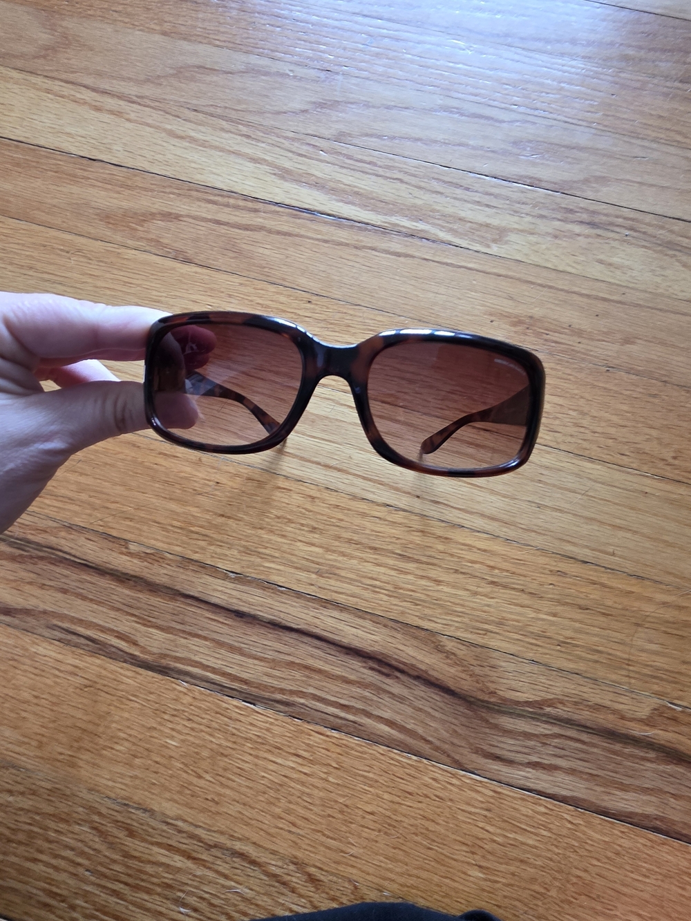 American Eagle Brown Women's Sunglasses